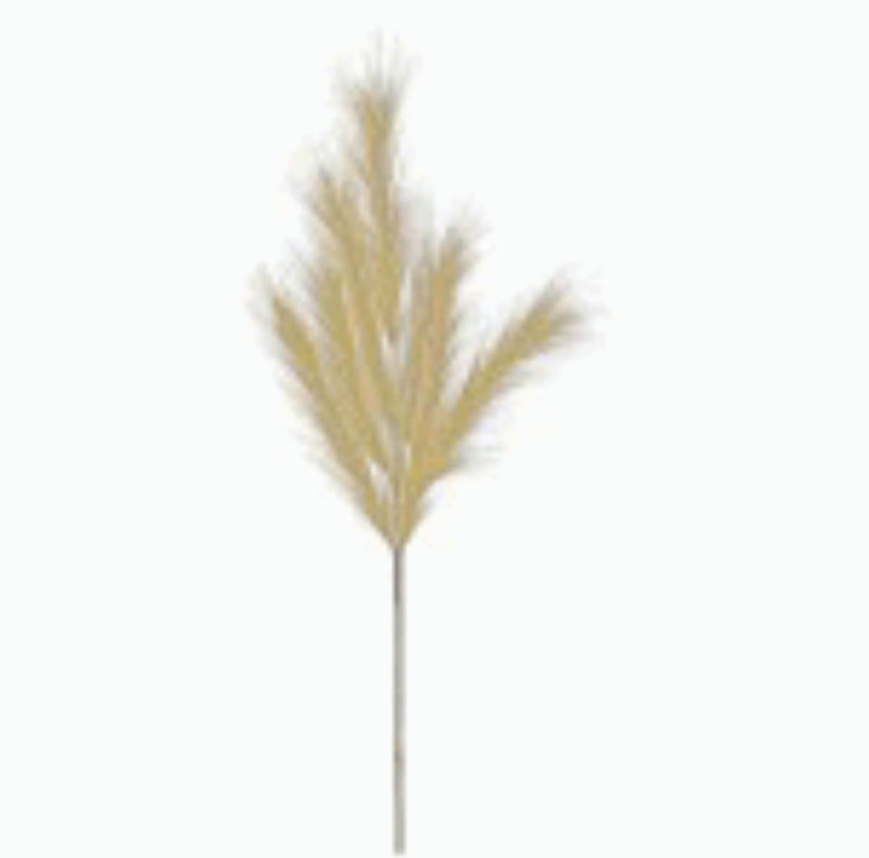 Pampas Plume Spray - 36" - Beige