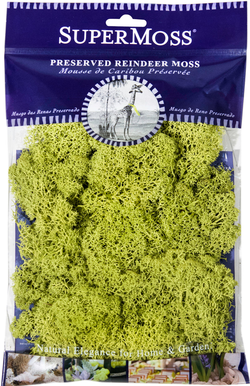 SuperMoss 2 oz Decorative Reindeer Moss - Assorted Colors