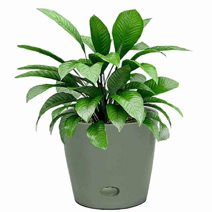 Bamboo Self Watering Planter - Sage Green - 7"
