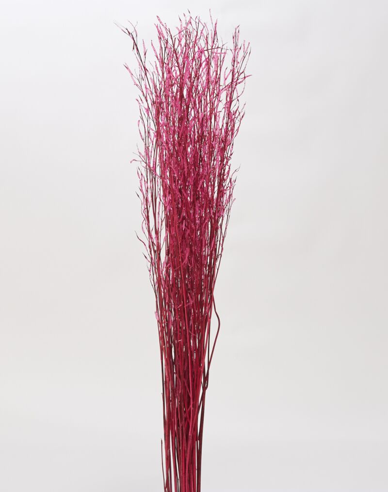 Botanica Collection