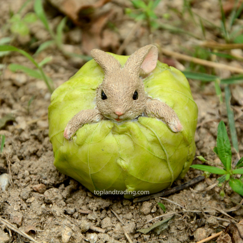 Rabbit Stuck in Cabbage