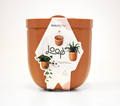 WallyGrow Loop Hanging Planter
