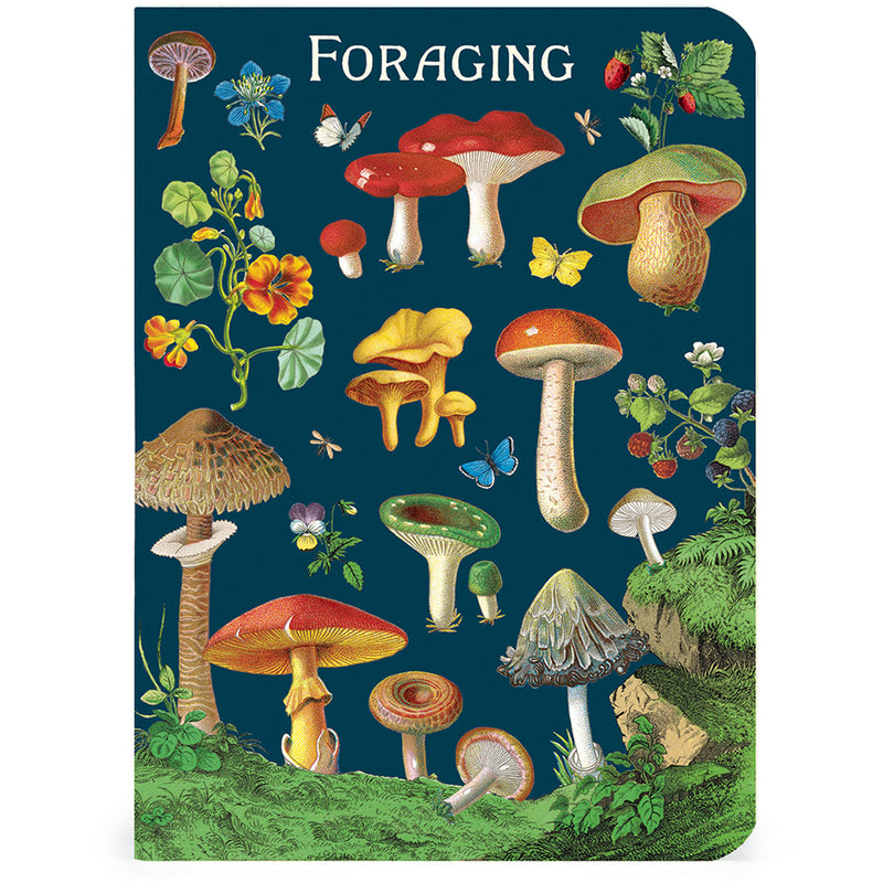 Foraging Mini Notebooks Set