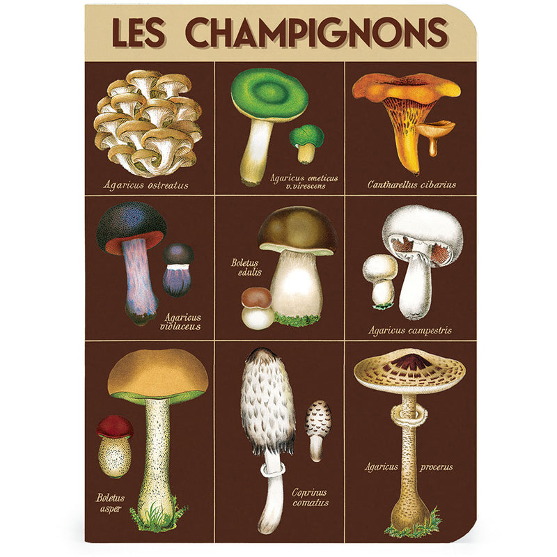 Foraging Mini Notebooks Set