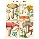 Foraging Mini Notebooks Set