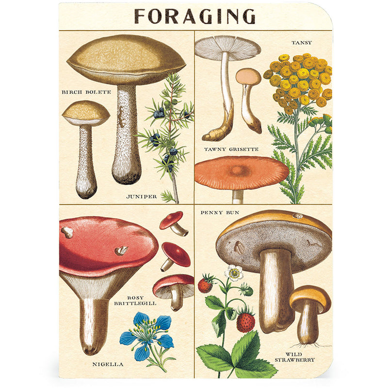 Foraging Mini Notebooks Set