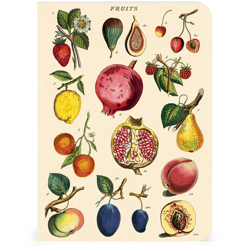 Le Jardin Mini Notebooks Set