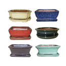 Bonsai Pot with Saucer - Assorted Colors