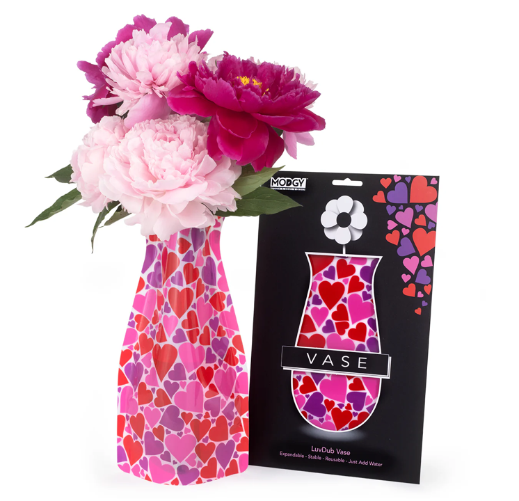 Modgy: Expandable Vase