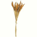 Reeds Bundle - 28" - Rust