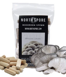 North Spore: Organic Blue Oyster Mushroom Plug Spawn