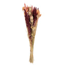 Dried Flower Bouquet - Fall Styles