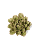 Ceramic Florals Greens