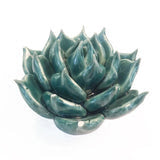 Chive: Ceramic Florals