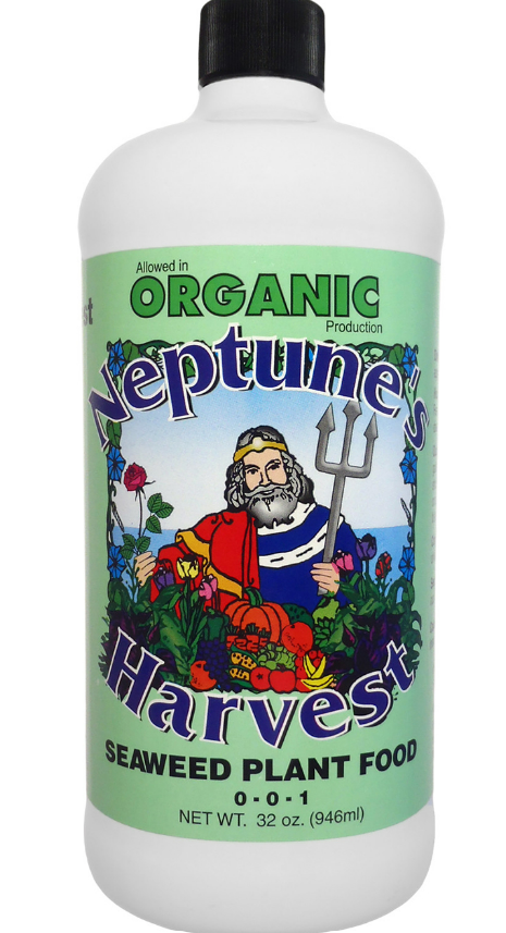 Neptune's Harvest Organic Seaweed Fertilizer