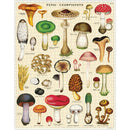 Mushrooms Puzzle - 1000 pieces
