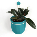 WallyGrow Loop Hanging Planter