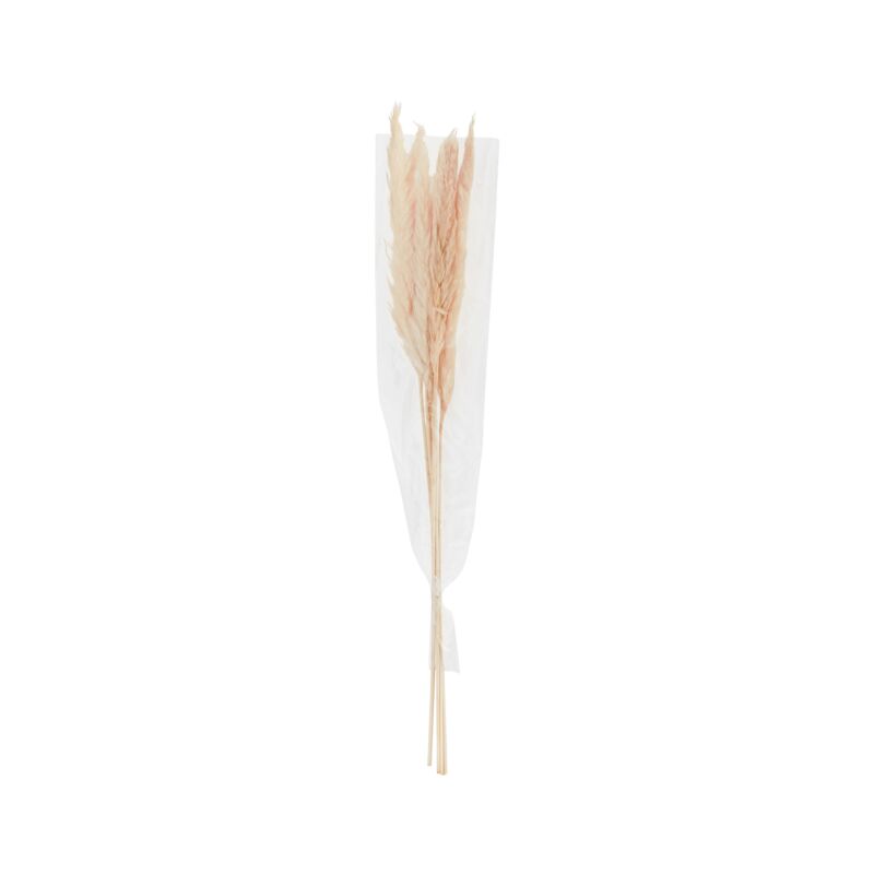 Botanica Collection