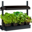SunBlaster LED Micro Garden