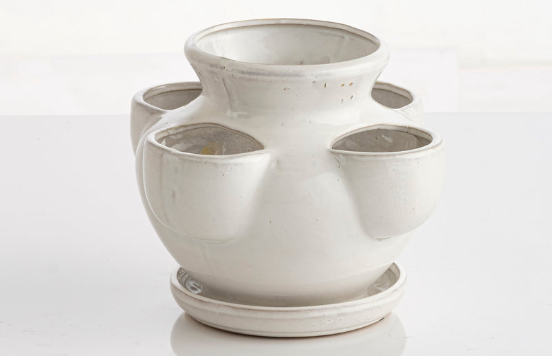 Aroma 5 Pocket Strawberry Jar w/Saucer - 8"