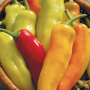 Pepper: Hungarian Hot Wax Seeds
