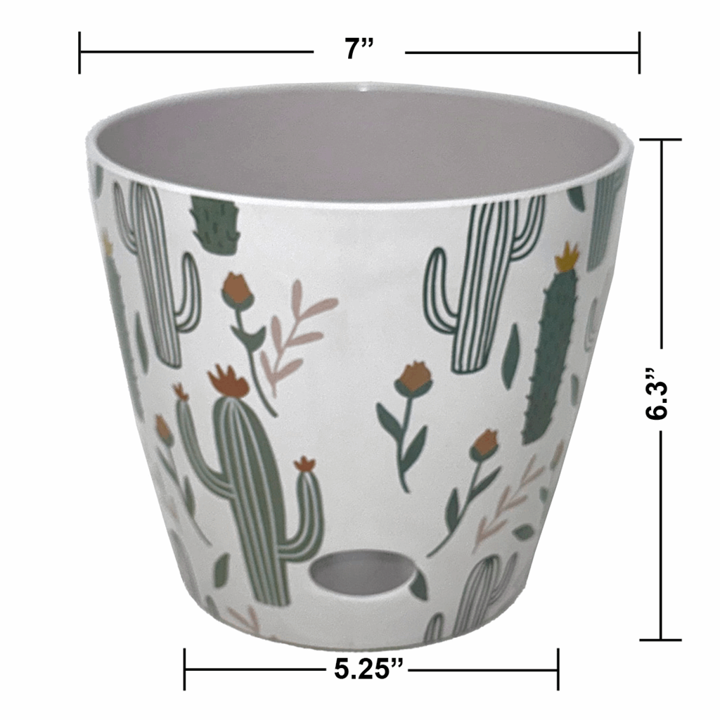Bamboo Self Watering Planter - Cactus - 7"