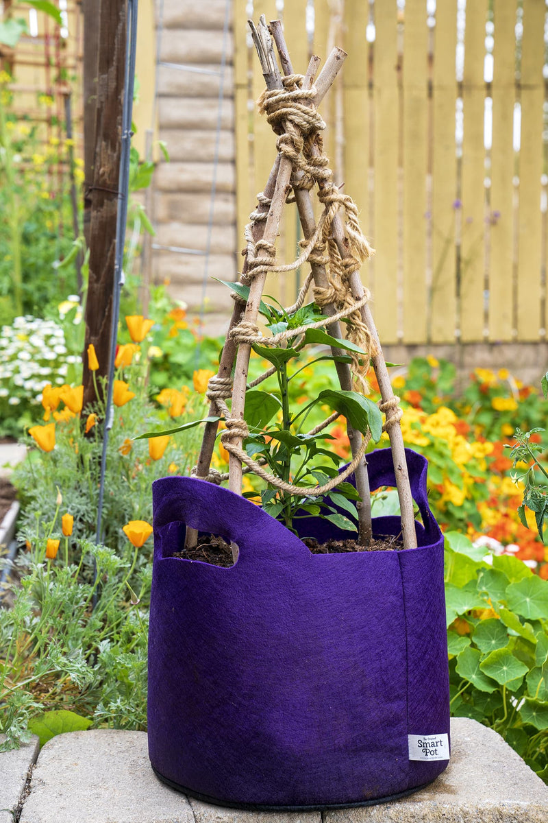 Smart Pot Fabric Planter with Handles - Violet