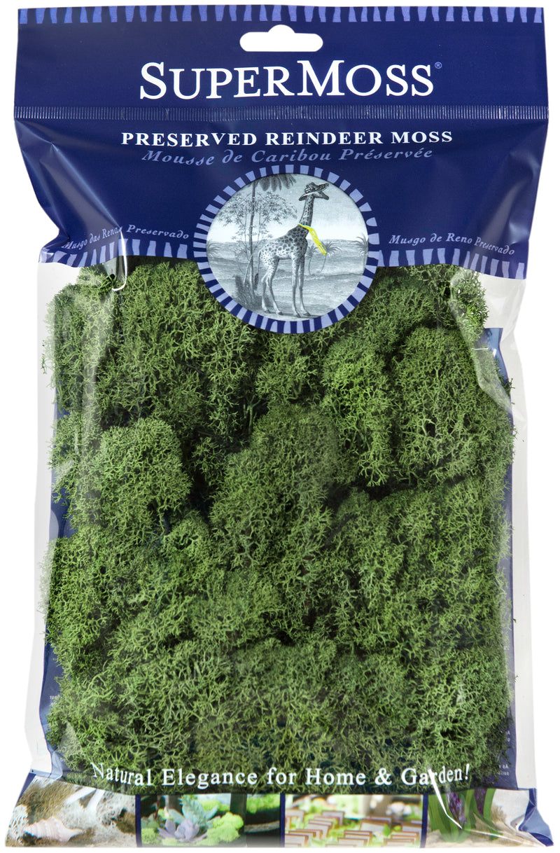 SuperMoss 2 oz Decorative Reindeer Moss - Assorted Colors