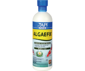 API Pond Algaefix-16oz