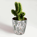 Bamboo Self Watering Planter - Cactus - 7"