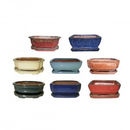 Bonsai Pot with Saucer - Assorted Colors