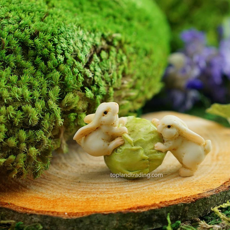 Two Rabbits Rolling Cabbage
