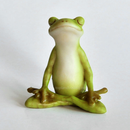 Yoga Frog-Meditation Lotus Pose