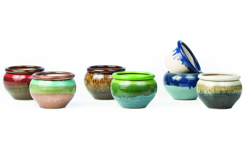 Self Watering Pot - Assorted - 4"