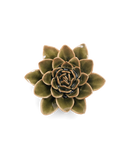 Ceramic Florals Greens