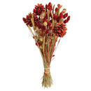 Dried Flower Bouquet - Holiday Styles