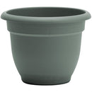 Bloem: Ariana-Basil Green