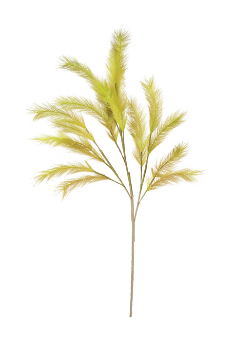 Botanica Collection