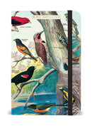 Birdwatching Mini Notebook