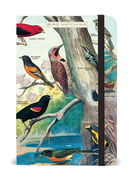 Birdwatching Mini Notebook