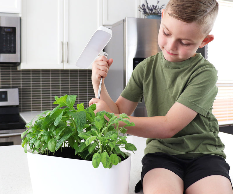 SunBlaster Nano Growlight Garden