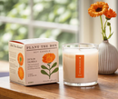 Plant the Box Candles - 9oz