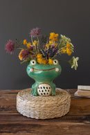 Quirky Frog Planter - 8"