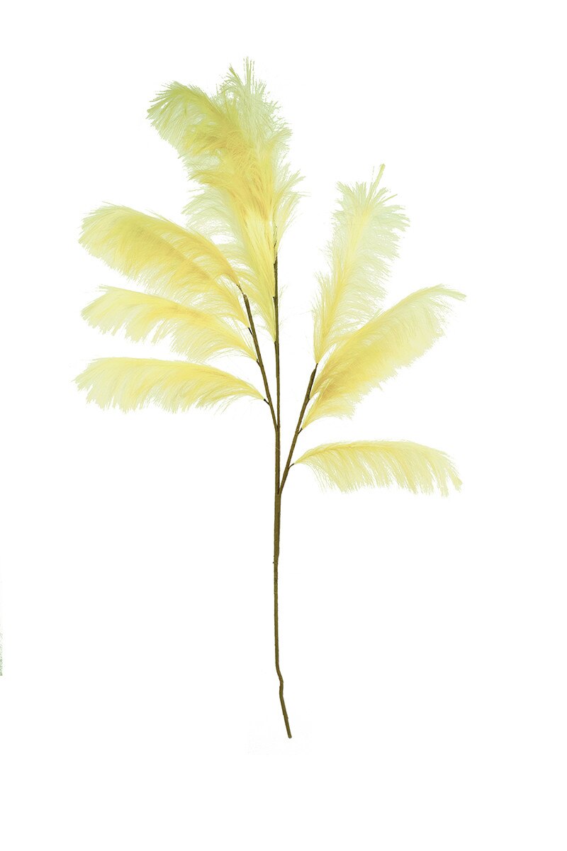 Botanica Collection