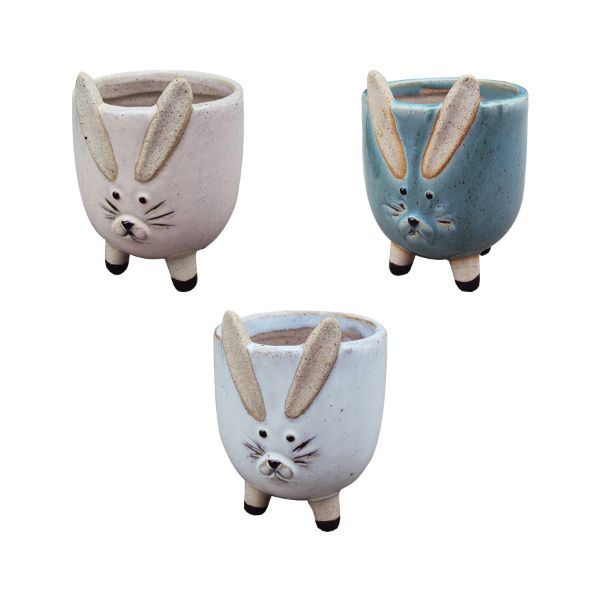 Rabbit Planter - Assorted - 3