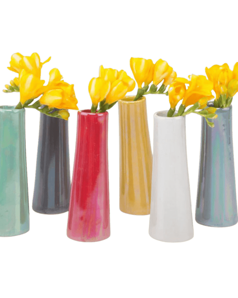 Galaxy Ceramic Budvase-Assorted