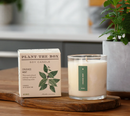 Plant the Box Candles - 9oz