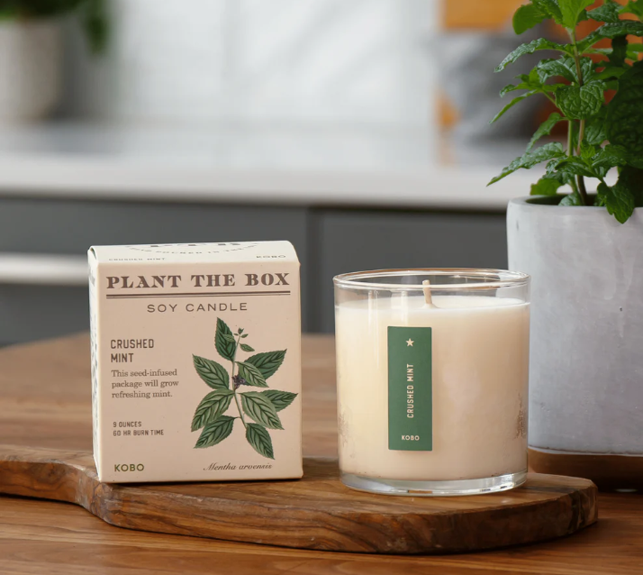 Plant the Box Candles - 9oz