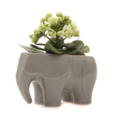 Elephant Planter - Assorted - 5"
