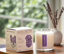 Plant the Box Candles - 9oz